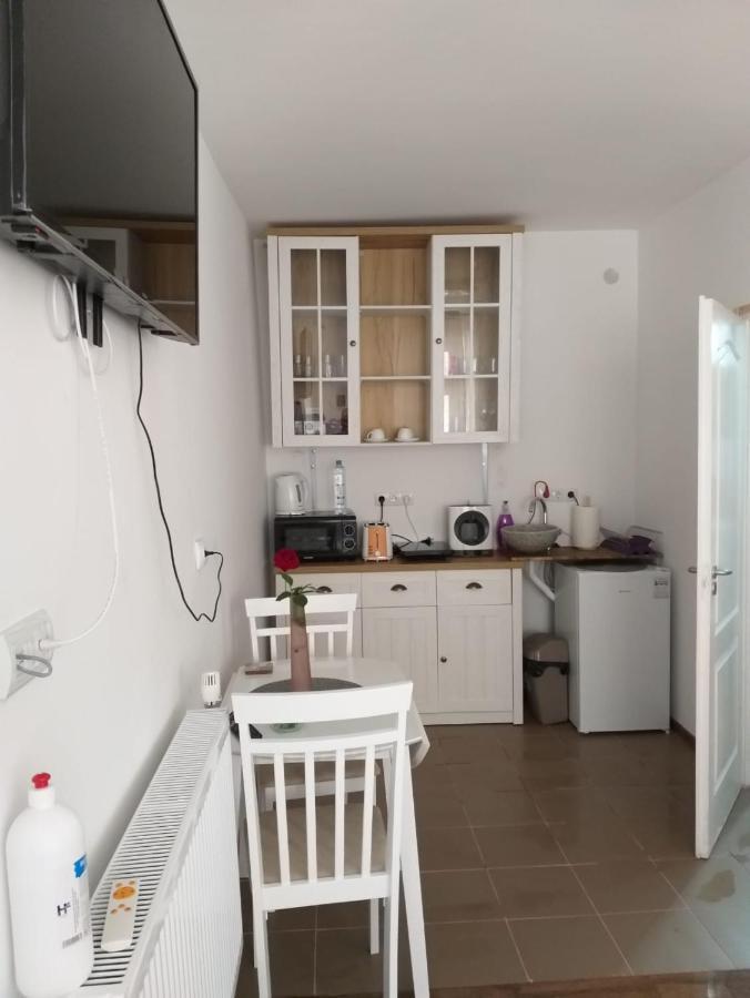 Sara House Διαμέρισμα Bistriţa Εξωτερικό φωτογραφία